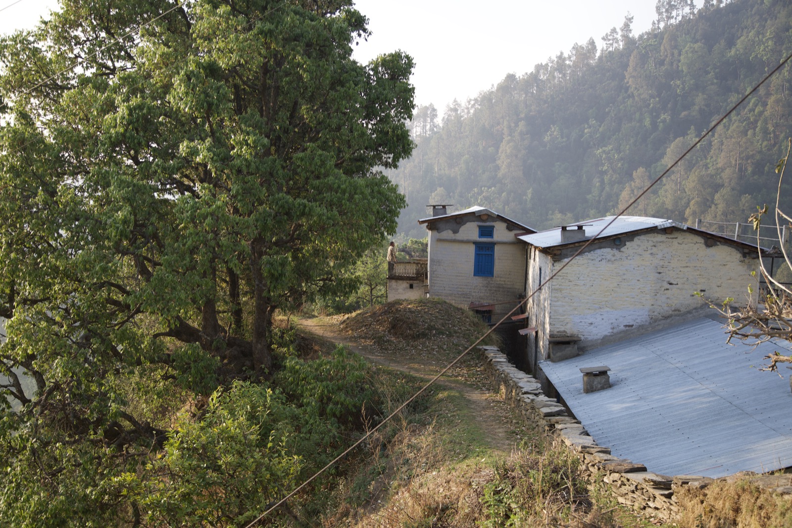 उत्तराखंड, 2017