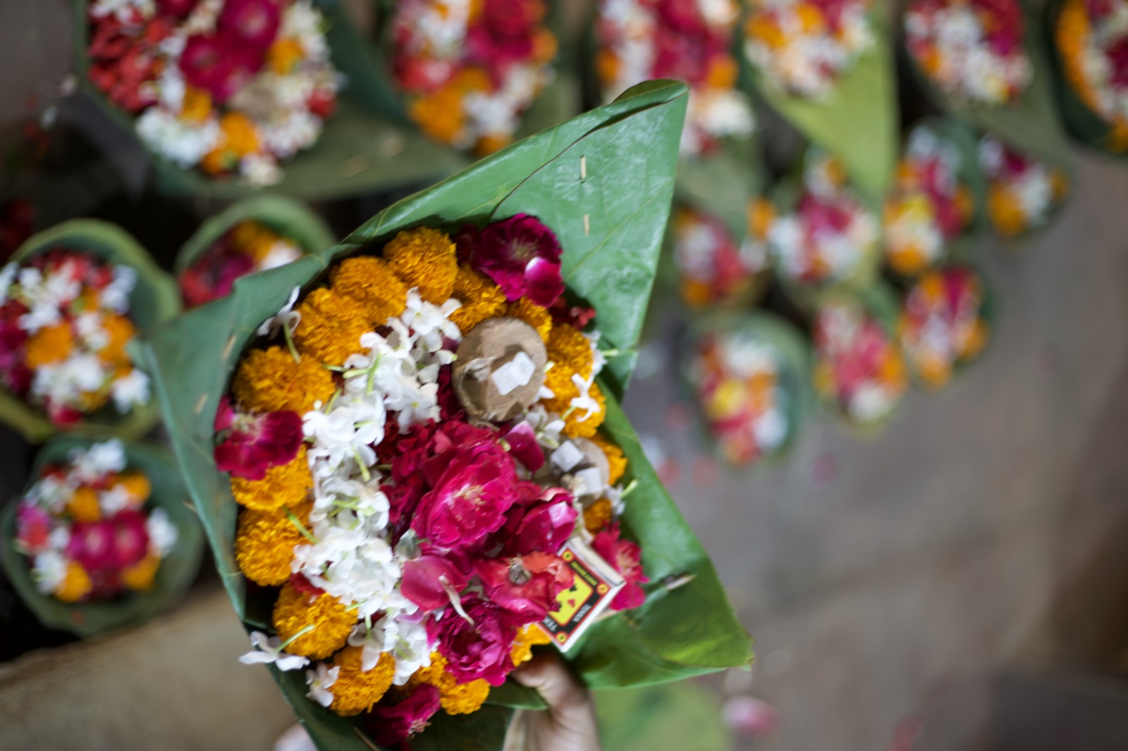 उत्तराखंड, अक्टूबर 2019
